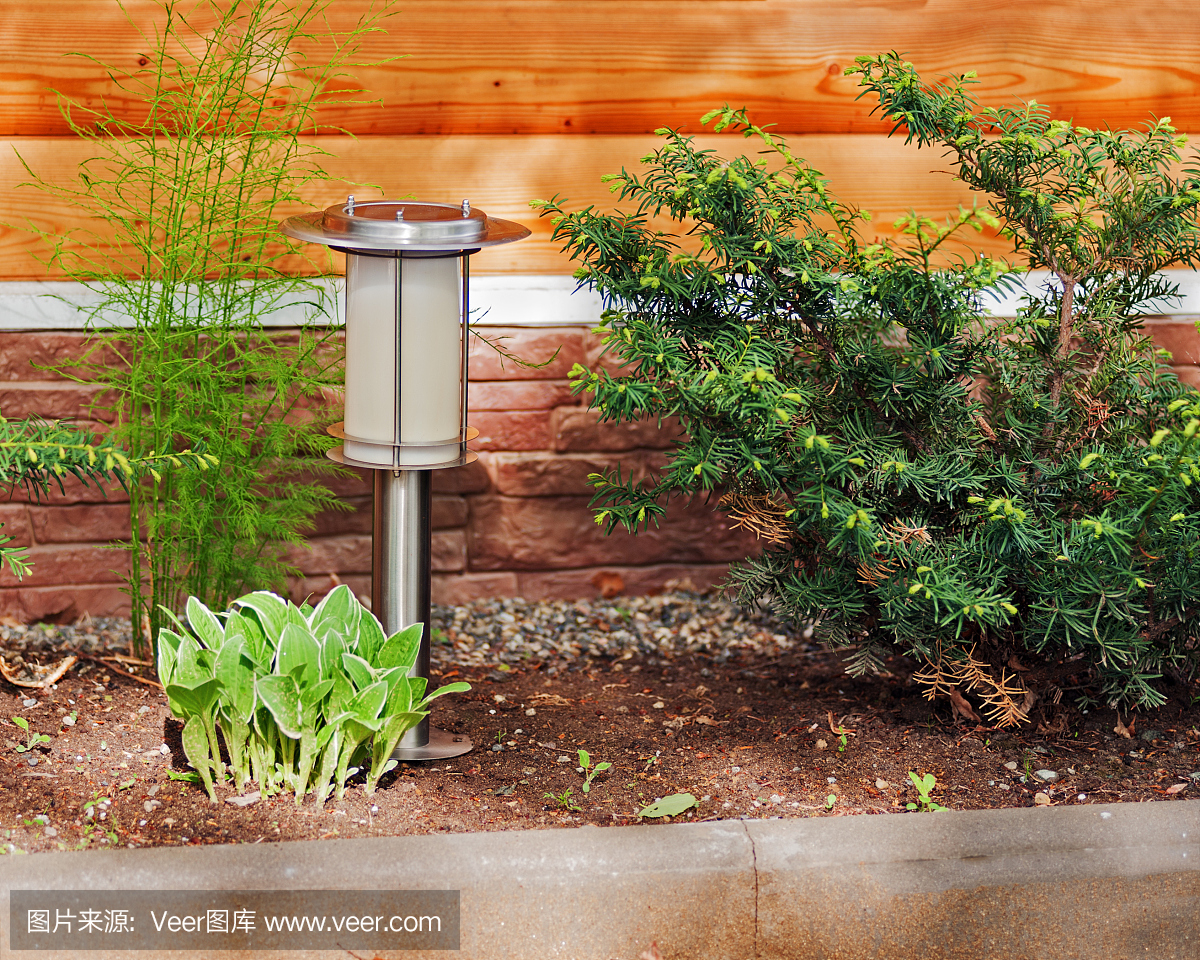 花園背景上的太陽能燈。