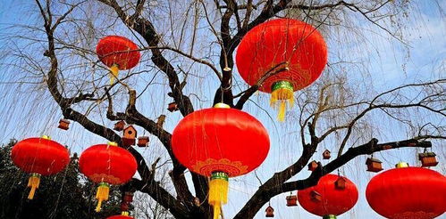 好產品引來 金鳳凰 陜西鳳翔宮燈暢銷大江南北